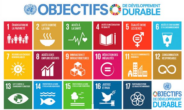 Agenda 2030 : découvrez les outils pédagogiques et faisons des ODD une dimension de tous nos projets !