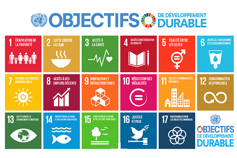 Agenda 2030 : découvrez les outils pédagogiques et faisons des ODD une dimension de tous nos projets !