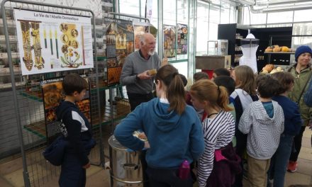 Le Printemps des Transitions à l’Institut Lemonnier de Caen – mars 2023