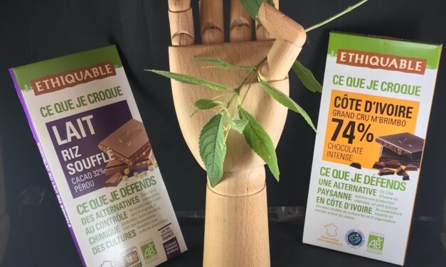 Le commerce équitable à l’honneur à Saint-Flour (ARA)!