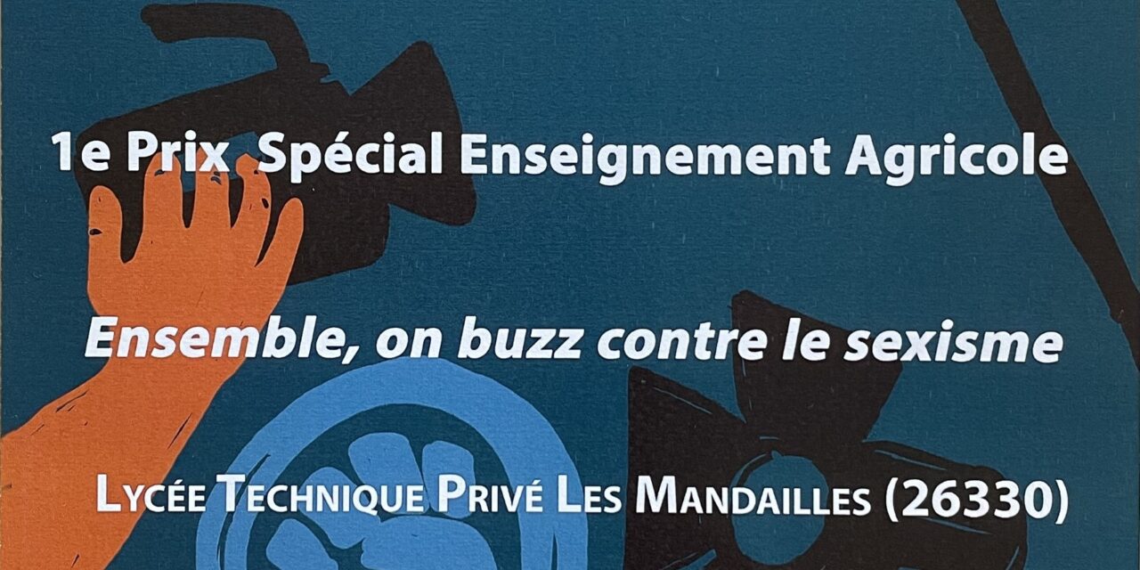 Buzzons contre le sexisme : des élèves de 3ème du lycée Les Mandailles remportent le 1er prix !