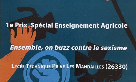 Buzzons contre le sexisme : des élèves de 3ème du lycée Les Mandailles remportent le 1er prix !