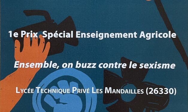 Buzzons contre le sexisme : des élèves de 3ème du lycée Les Mandailles remportent le 1er prix !