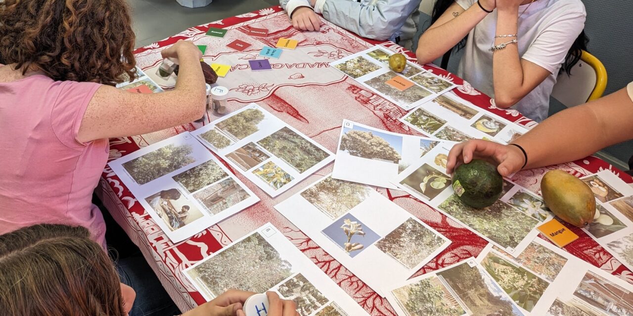 Découverte de Madagascar pour les élèves de CAPAMA au lycée Bonne Terre!