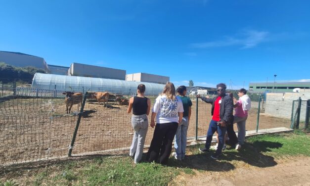 Quand le Sénégal rencontre le Campus de la Provence Verte (83)! 